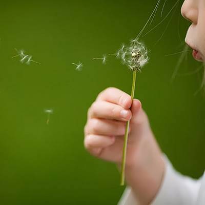 زندگی سلف سرویسی