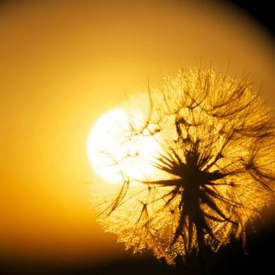 نه مرادم نه مریدم